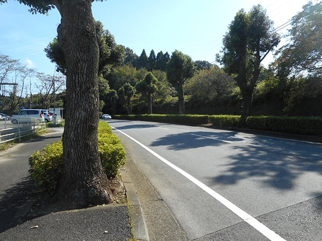 chibaheiwakouen-info-20210923c.JPG