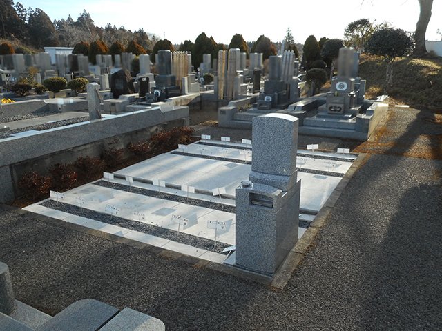 chibahigashi-20220115b.JPG