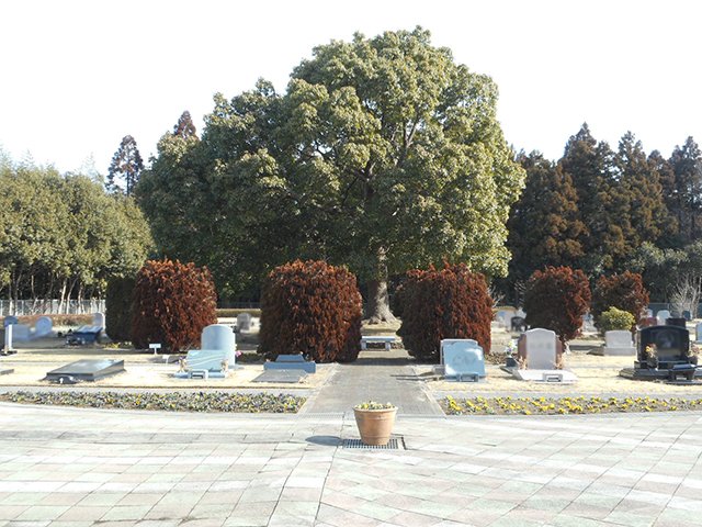 chibahigashi-20220125a.JPG