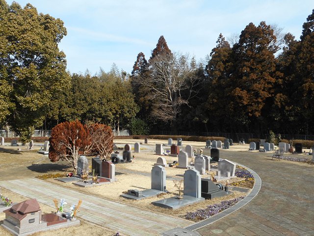 chibahigashi-20220125b.JPG