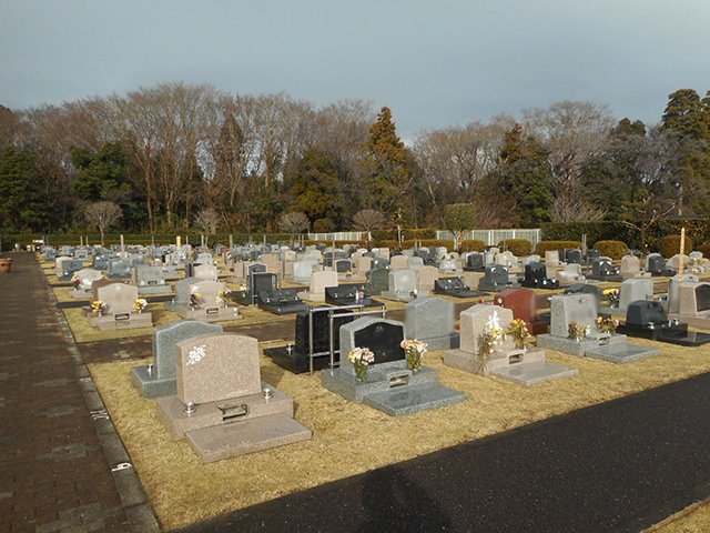 chibahigashi-20221218a.jpg