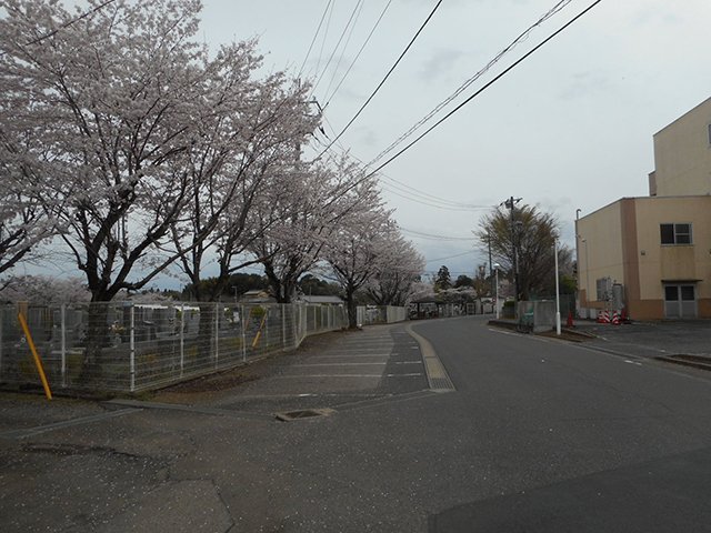 chibahigashi-20230327a.jpg