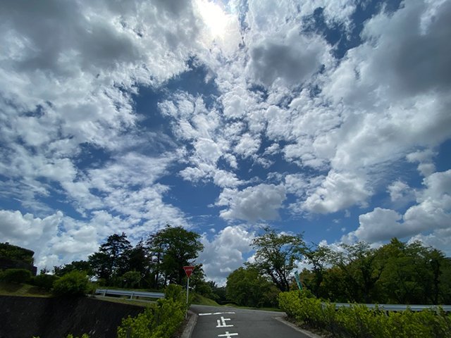 chisan-20210617c.jpg
