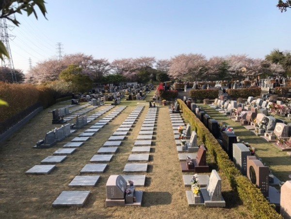 iwatsuki-202341c.jpg