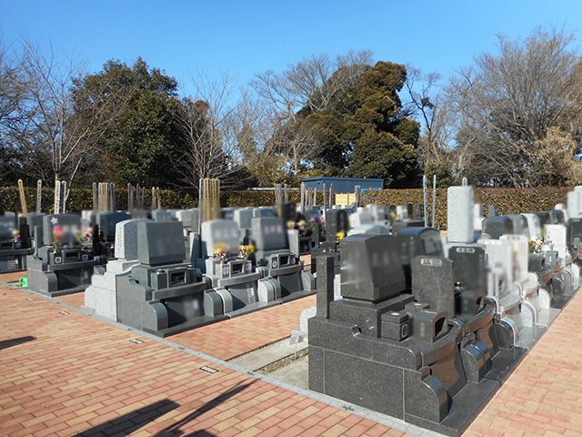 mitsuwadai-20220121b.JPG