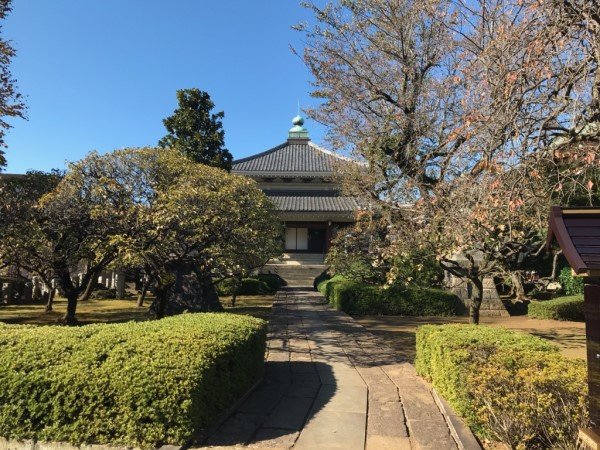 nichiyou-20211112a.jpg