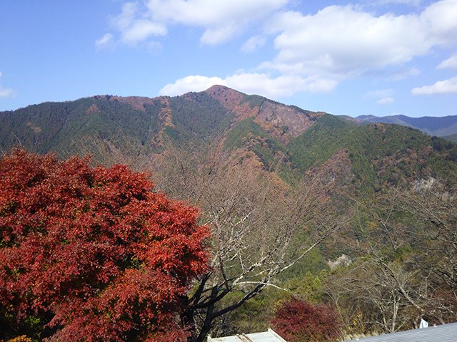 okutama-20211120a.jpg