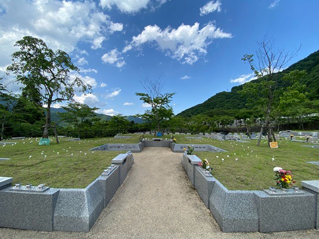 okutama-20220602a.jpg