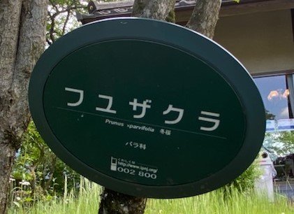 okutama-20220602e.jpg