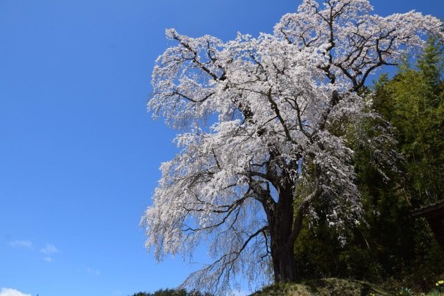 okutama-20220723d.jpg