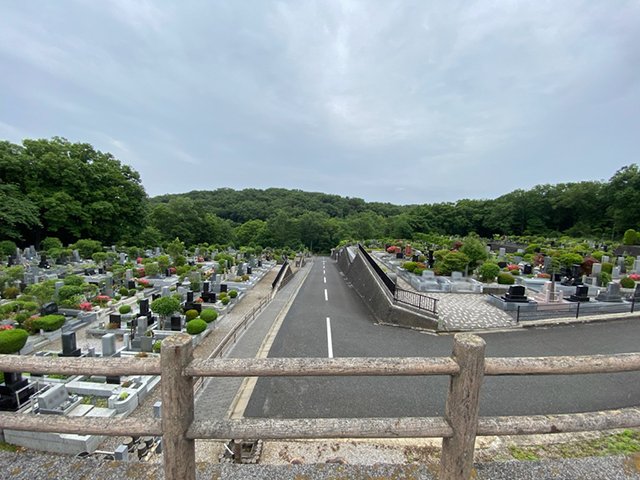 sayama-20210606c.jpg