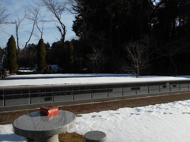 sisui-20220109a.JPG