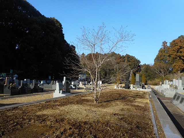 sisui-20230109a.jpg