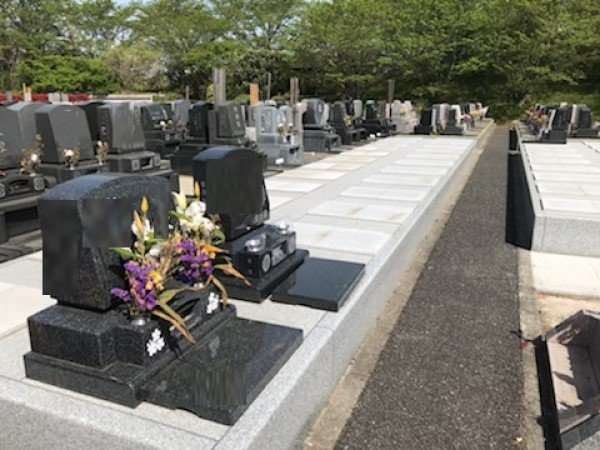 iwatsuki-2023413d.jpg