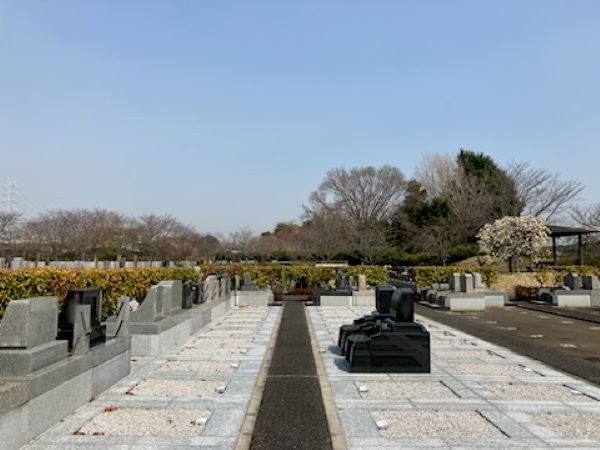 iwatsuki-2025325a.jpg