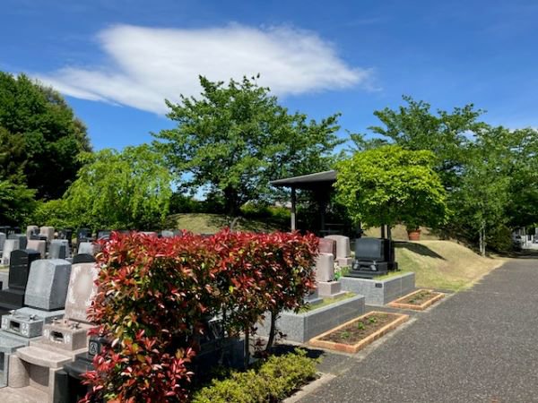 iwatsuki-2025511a.jpg