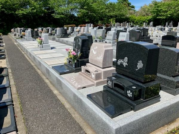 iwatsuki-2025511d.jpg