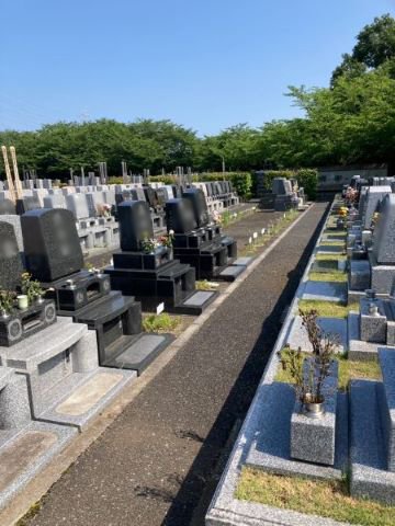 iwatsuki-2025630a.jpg