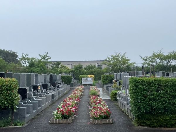 iwatsuki-202697a.jpg