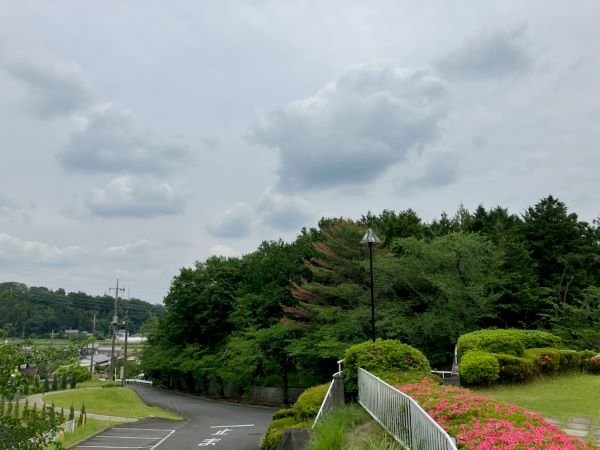 musashimp-2025523a.jpg