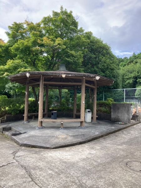 musashimp-2025717d.jpg