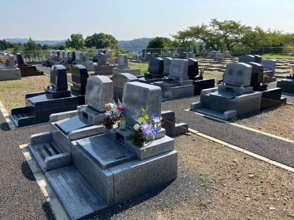 musashimp-2025824d.jpg