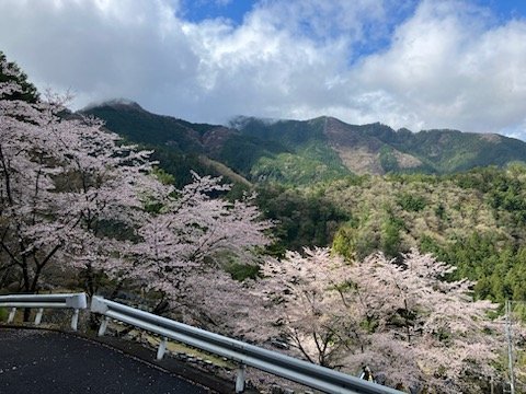 okutama-2025414b.jpg
