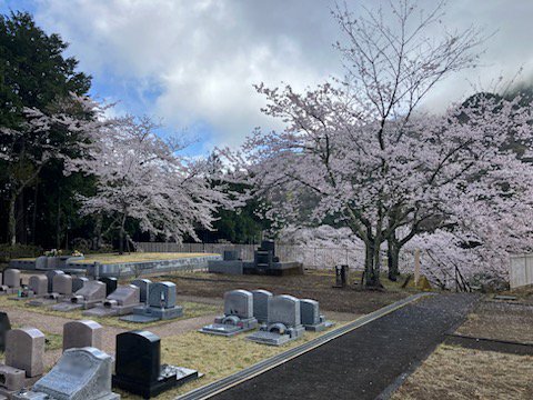 okutama-2025414c.jpg