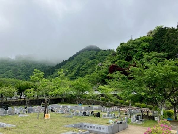 okutama-2025512a.jpg