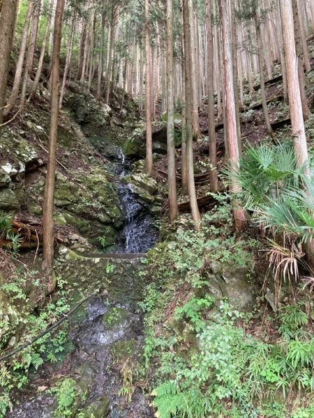 okutama-2026104d.jpg