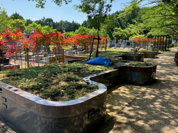 okutama-2026516ddd.jpg