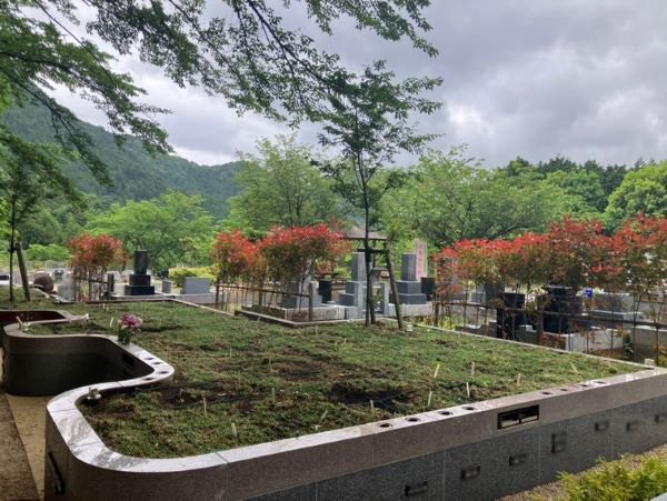 okutama-2026524ddd.jpg