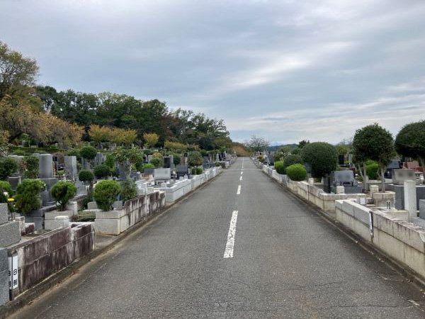sayama-20251024a.jpg