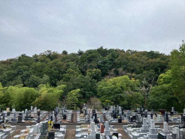 sayama-20251024c.jpg