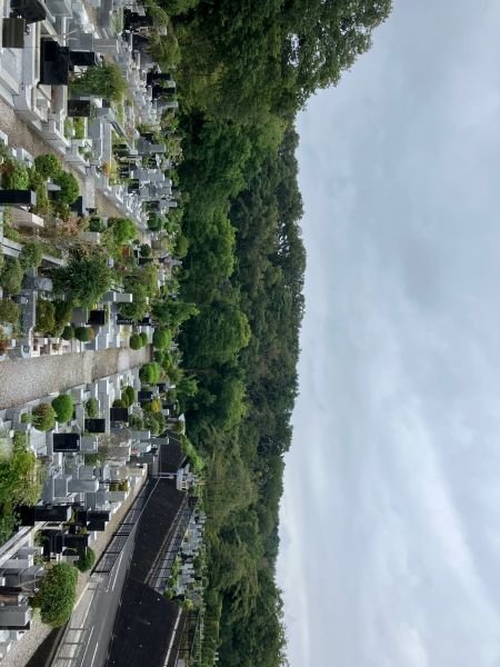 sayama-202594a.jpg