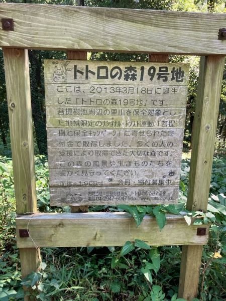 sayama-2026101d.jpg