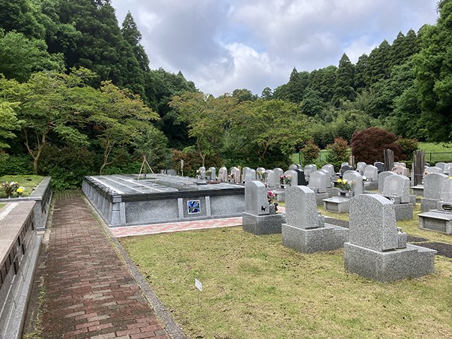 sisui-20250519b.jpg