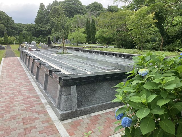 sisui-20250613b.jpg