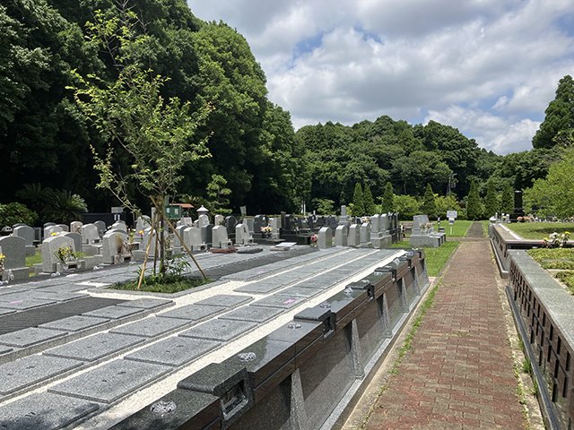 sisui-20250620b.jpg