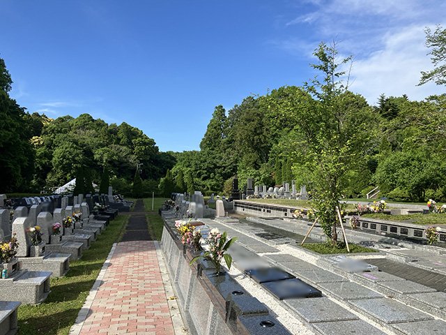 sisui-20260510a.jpg