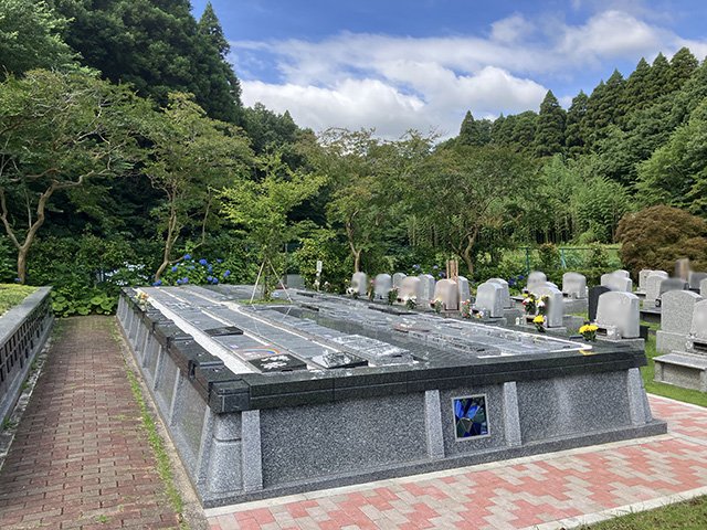 sisui-20260622b.jpg
