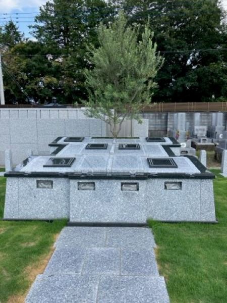 syougyouji-2026726a.jpg
