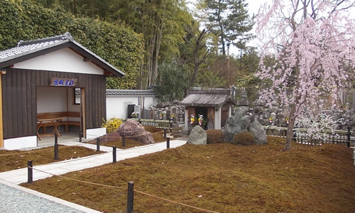 養徳院 桜の風景 1