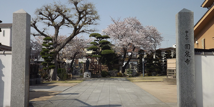 圓泉寺墓苑　最新チラシ