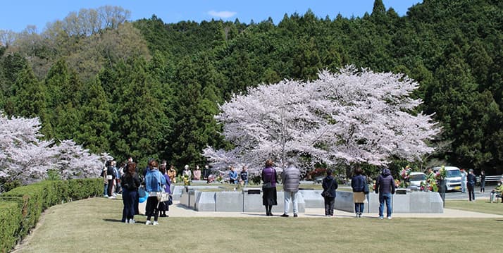 千早赤阪メモリアルパーク