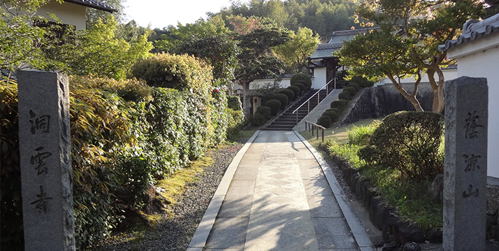 蔭涼山 洞雲寺