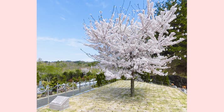 神戸聖地霊園