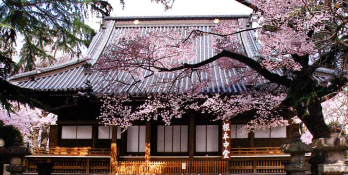 東叡山 寛永寺 光明閣