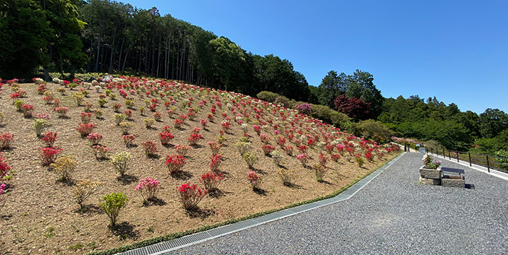 五大尊花木墓苑