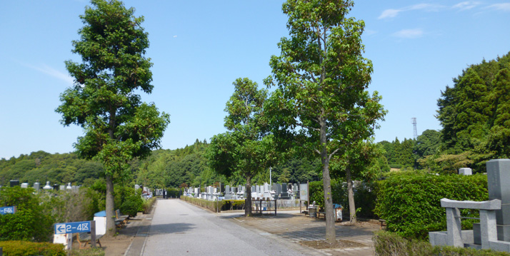 墓域の様子5